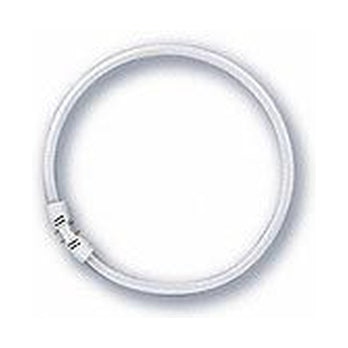Osram T5 FC 22W/830 Circline / Ring LUMILUX Warm White 2GX13