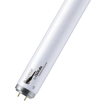 ISOLde CLEO Performance F24 T12 R 40w G13 600mm