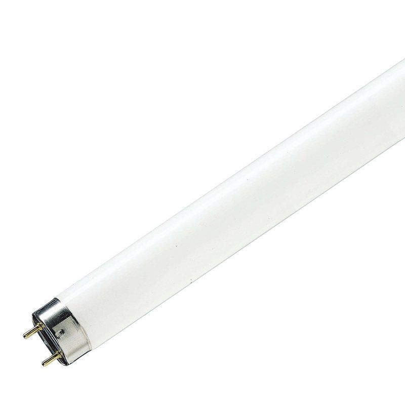 Philips Master TL-D Food 36W/79 1SL Shoplight Leuchtstoffröhre