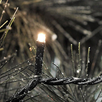 Konstsmide Micro LED Lichterkette inkl. Außentrafo mit 200 Dioden Gesamtlänge 4184cm
