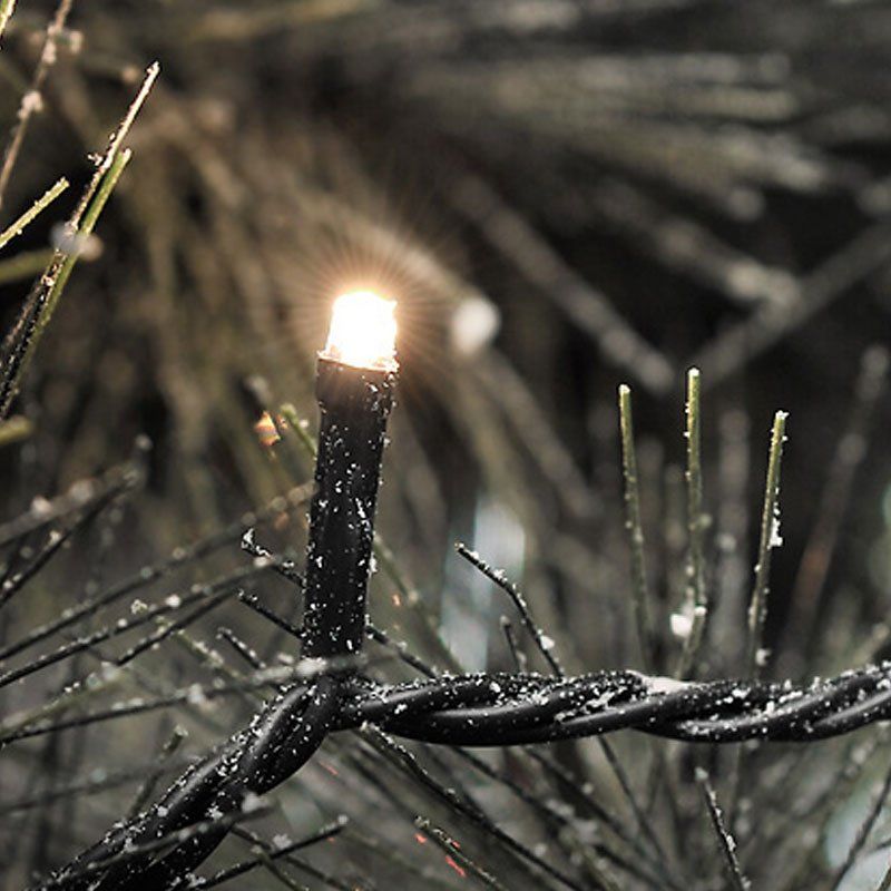 Konstsmide Micro LED Lichterkette inkl. Außentrafo mit 200 Dioden Gesamtlänge 4184cm