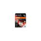 Osram LED Night Breaker ECE C5W 45lm 6000k SV8.5-8 12V 2er Pack