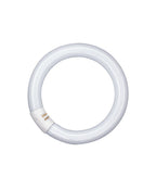 Osram L 22W/840 C Ringform Lumilux kaltweiß G10q