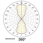 EVN LED Leuchte anthrazit rechteckig 240x95x105mm 12W 3000K 362lm 41-80° 100-240V IP54