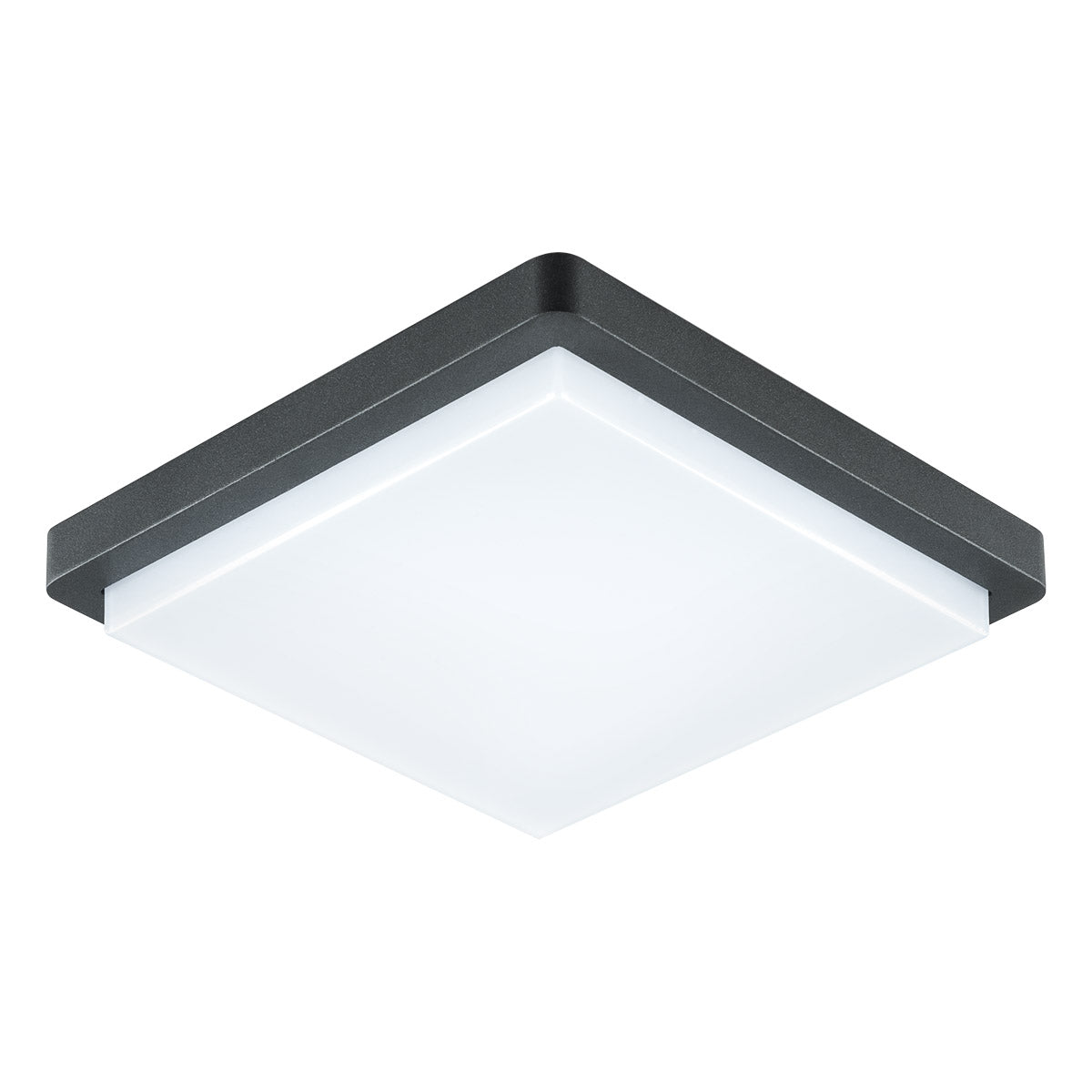EVN LED Leuchte anthrazit viereckig 235x235x64mm 14W 3000K 1266lm >80° 100-240V IP54