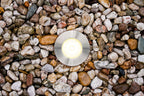 EVN LED Bodeneinbauleuchte Edelstahl Optik rund 63x73mm 2W 3000K 82lm 41-80° 220-240V IP65