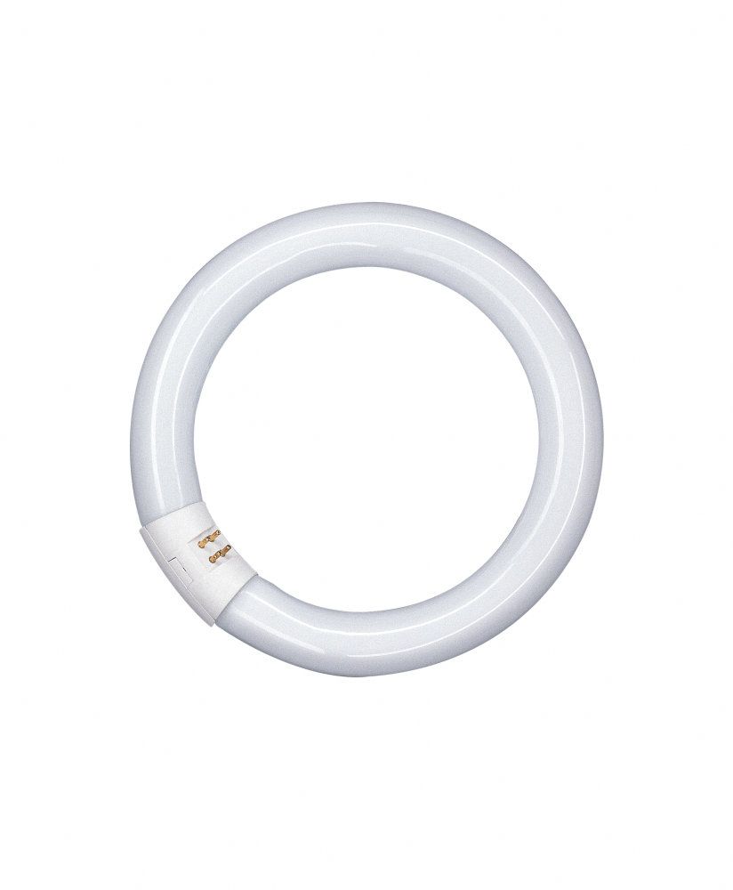Osram L 40W/840 C Ringform Lumilux Cool White G10q (früher 40W/20-640)