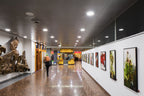 LEDVANCE LED Downlight ALU DALI 14W/4000K IP44 100°