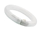 Sylvania  Circline Plus T9 #0001965 32W 865 tageslichtweiß 2100lm G10q dimmbar