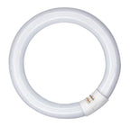 Leuchtstoffröhre Ringform T9 360° 22W/865 tageslichtweiß lm G10q 210mm dimmbar