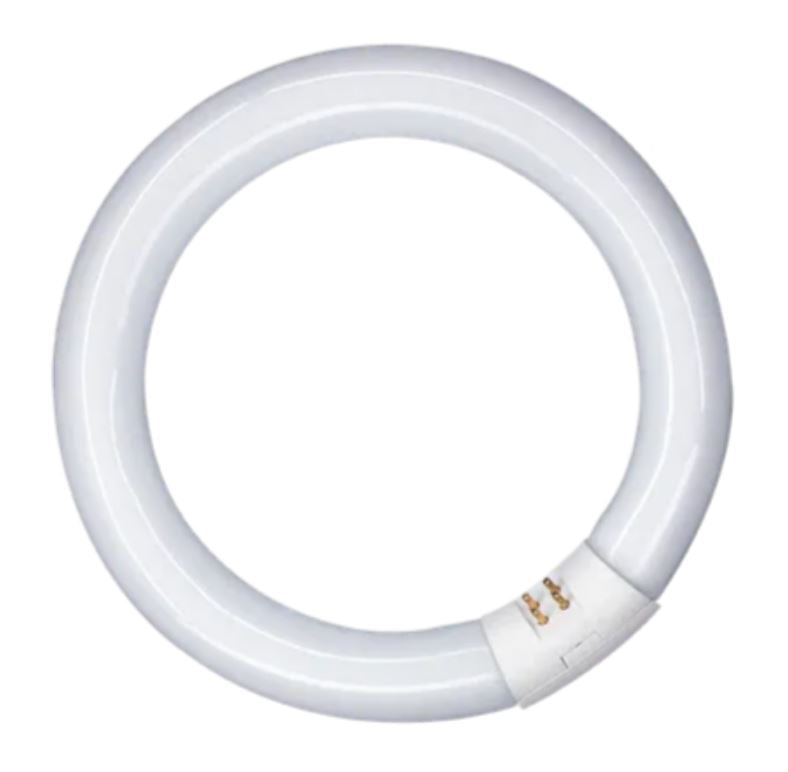 Leuchtstoffröhre Ringform T9 360° 32W/865 tageslichtweiß lm G10q 300mm dimmbar