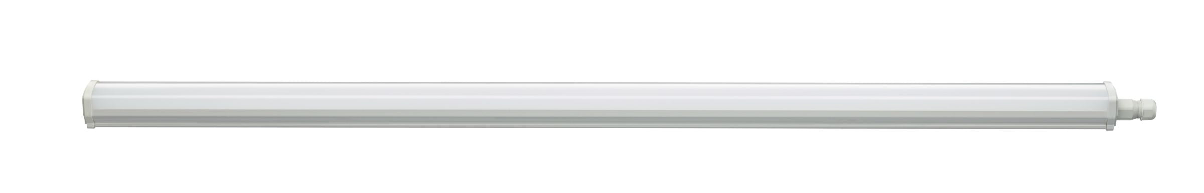 Philips LED Ledinaire Feuchtraumleuchte WT060C opal 46W/865 tageslichtweiß 5600lm 120° 220-240V IP66 1501mm
