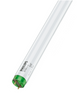 Philips Master Actinic BL TL-D 18W/10 G13