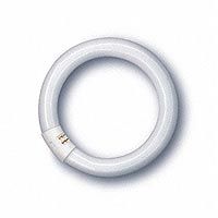 Osram L 22W/765 C Ringform Daylight G10q