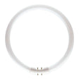Philips Master TL5 22W/830 Circular / Ring 2GX13
