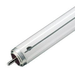 T12 Leuchtstoffröhre
