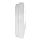 Osram LED Wandleuchte Outdoor Essential 255mm – Produktansicht 2
