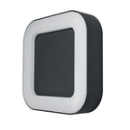 LEDVANCE LED Wandleuchte Endura Style Square 13W/830 480lm warmweiß nicht dimmbar dunkelgrau IP44