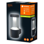 LEDVANCE LED Wandleuchte Endura Style Lantern Modern 11,5W/830 610lm warmweiß nicht dimmbar dunkelgrau IP44
