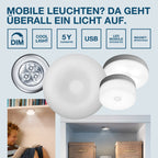 LEDVANCE DOT-IT Classic Silber/Silver 80142 SI – Infografik
