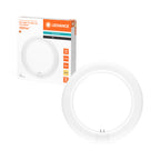 Osram / Ledvance LED Tube Ring T9C 110° Value 11-22W/830 warmweiß 1200lm G10q KVGAC 220-240V 212mm – Produkt mit Verpackung