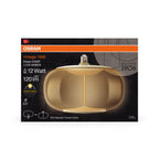 Osram / Ledvance LED Filament Magnet Vintage 1906 Big Elipse G klar 320° 2,5-12W/827 warmweiß 120lm E27 220-240V – Verpackung