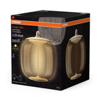 Osram / Ledvance LED Filament Magnet Vintage 1906 Big Oval G klar 320° 3,4-25W/827 warmweiß 250lm E27 220-240V – Verpackung 2