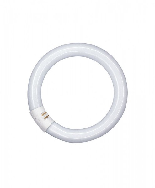 Osram L 40W/840 C Ringform Lumilux Cool White G10q (früher 40W/20-640)