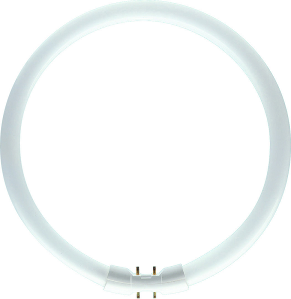 NuLoXx Leuchtstofflampe Ringform 360° 22W/840 kaltweiß 1800lm 2GX13 dimmbar