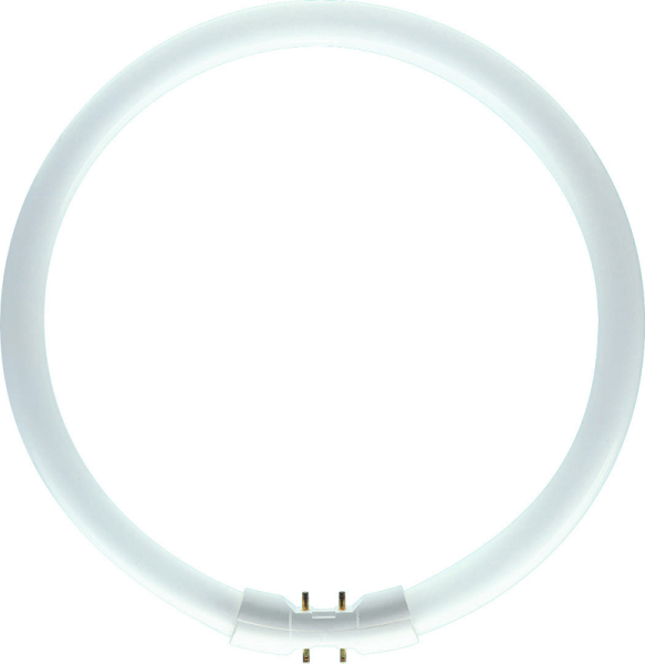 Leuchtstofflampe Ringform 360° 22W/840 kaltweiß 1800lm 2GX13 230mm dimmbar