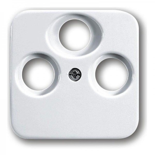 Busch Jäger Zentralscheibe 1743-03-214