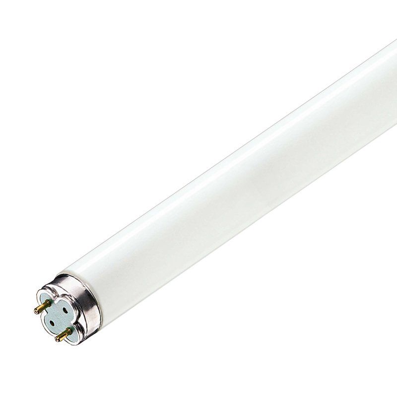 10 Stück Universal-Starter für 4 bis 65 Watt Leuchtstoffröhren T5 T8 T12  und CFL-Leuchtmittel : : Beleuchtung