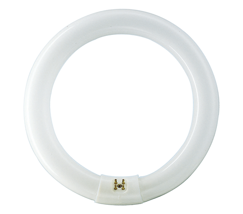 Philips Master TL-E 40W/865 Circular Super 80 G10Q