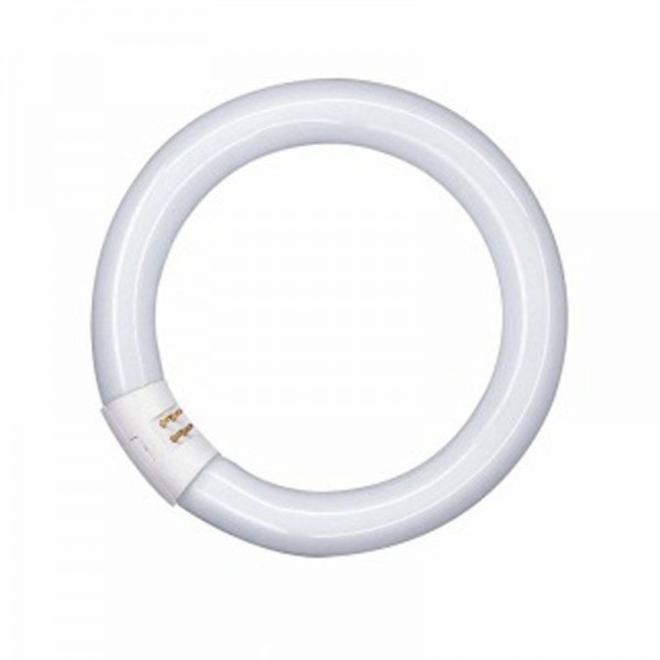 Osram L 22W/865 C Ringform Lumilux Daylight G10q (früher 22W/11-765)