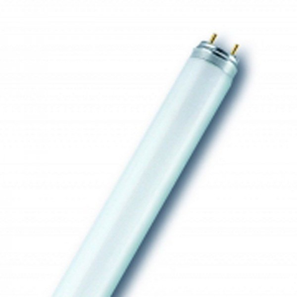 Leuchtstofflampe Lampenwerk Radium NL-T8 58 W/840/G13 tenga en cuenta IAE a UK UAE 