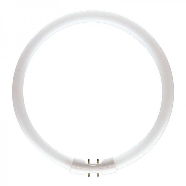 Philips Master TL5 22W/830 Circular / Ring 2GX13