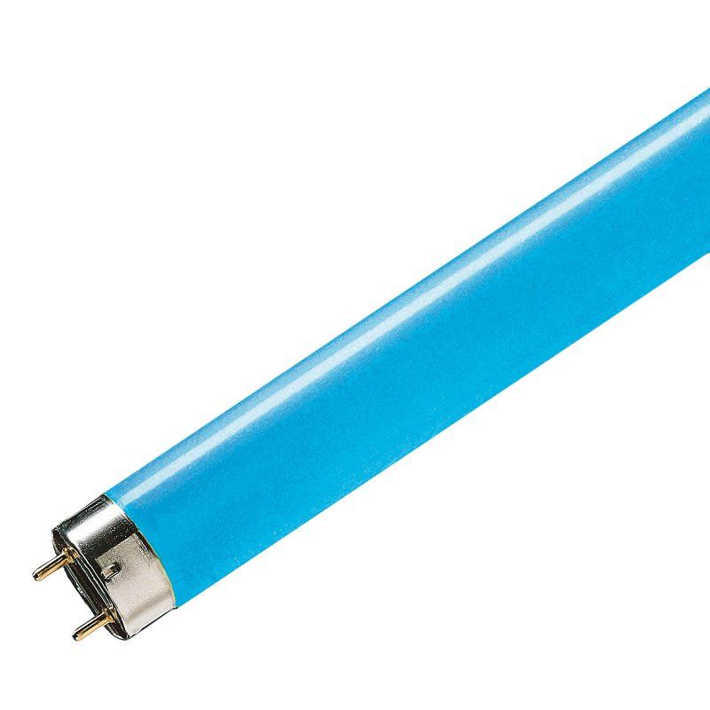10x Philips Leuchtstoffröhre MASTER TL-D 36W Röhre Licht Lampe T8 180 Blau 