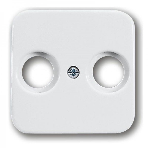 Busch Jäger Zentralscheibe 2531-214