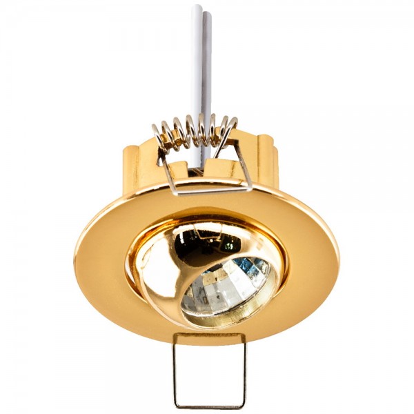 EVN Leuchte Gold schwenkbar rund 52x35mm 12V IP20