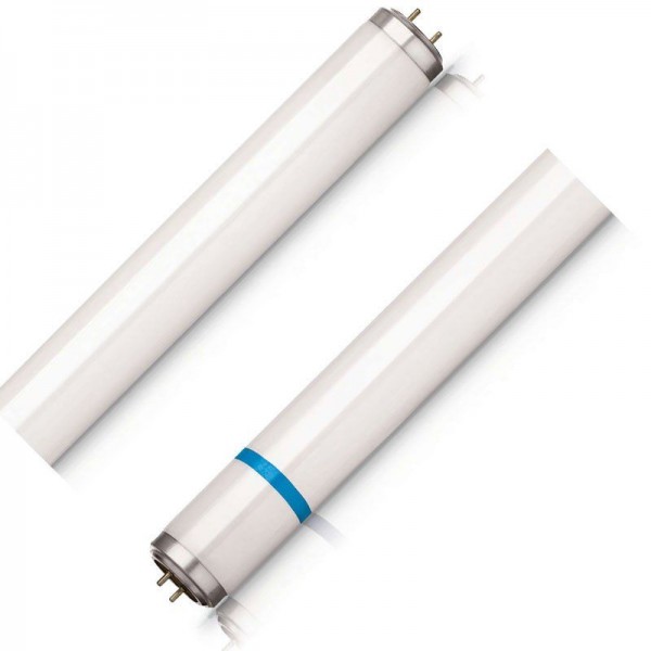 Philips UV-A Lampe Actinic BL TL-D TL-DK Secura 36W/10 1SL/25